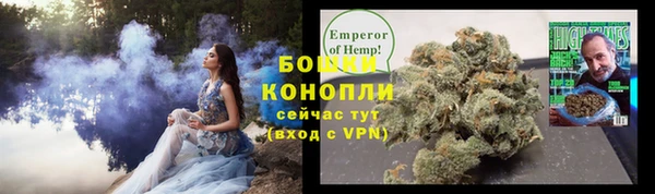 2c-b Бородино
