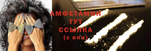 дживик Бронницы