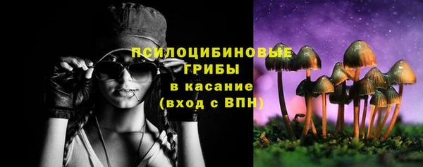 2c-b Бородино
