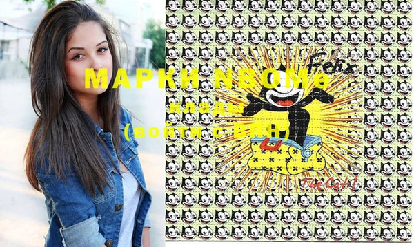 дживик Бронницы