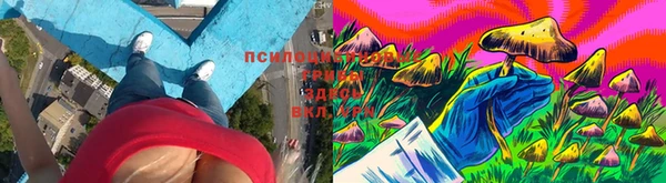 герыч Бугульма