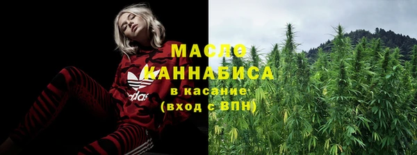 дживик Бронницы