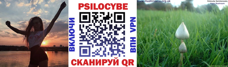 Псилоцибиновые грибы прущие грибы купить Кириши
